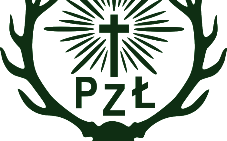 Powołanie na funkcję członków Zarządu.